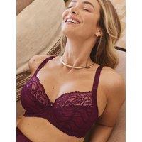 Fantasie Cesile Wired Plunge Bra D-J Burgundy
