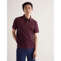 Seasalt Cornwall Pure Cotton Polo Shirt Dark Brown