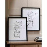 Gallery Direct Set of 2 Delicate Nature Framed Art Black Mix