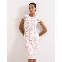 Phase Eight Embroidered Lace Knee Length Dress Light Pink Mix