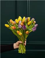 Bright & Beautiful British Tulip Bouquet
