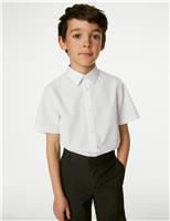 3pk Boys Easy Iron School Shirts (2-16 Yrs)