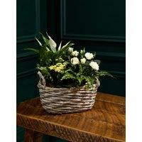 Summer Flowering Basket