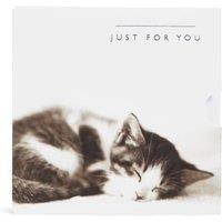 Cute Kitten Gift Card