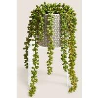 Artificial String of Pearls in Ceramic Pot