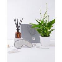 Relax Hamper with Peace Lily Plant