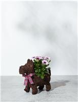 Novelty Scottie Dog