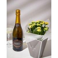 Kalanchoe Gift Bag with Bellante Prosecco