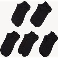 5pk Trainer Liner