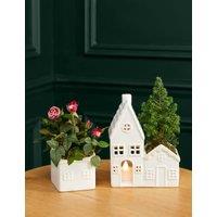 Light Up Houses with Miniature Gigi Rose & Christmas Tree