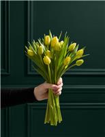 M&S Flower Market Easter Yellow Tulip Abundance Bouquet