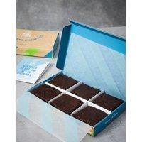 6 Plant Kitchen Chocolate Brownies