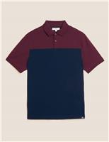 M&S Pure Cotton Colour Block Polo Shirt Dark Burgundy