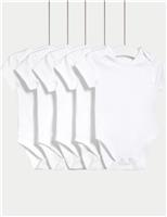 M&S 5 Pack Pure Cotton Bodysuits (5lbs-3 Yrs) White