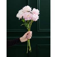 M&S Flower Market Pink Peony Bouquet