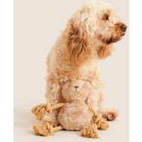 Spencer Bear Rope Pet Toy
