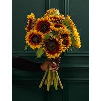 M&S Flower Market Speciality Sunflower Abundance Bouquet