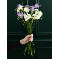 M&S Flower Market Scented Freesia Posy