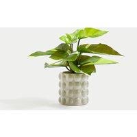 Artificial Philodendron in Ceramic Pot