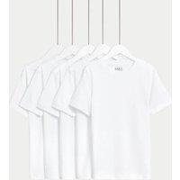 5pk Pure Cotton Stain Resist School T-Shirts (2-16 Yrs)