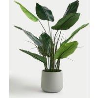 Artificial Large Banana Plant in Concrete Pot