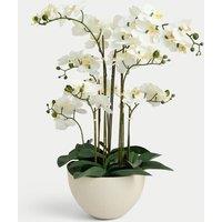 Artificial Extra Large Orchid in Ceramic Pot