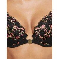 Vera Lace Wired Push-Up Plunge Bra (A-E)