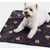 Spencer Bear Pet Blanket