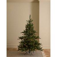 6ft Pre-Lit Noble Christmas Tree