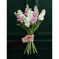M&S Flower Market Stock Abundance Bouquet