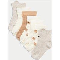 7pk Cotton Rich Spencer Bear Baby Socks (0-3 Yrs)