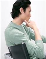 Pure Cashmere Crew Neck Jumper