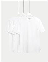 3pk Pure Supima Cotton V-neck T-Shirts