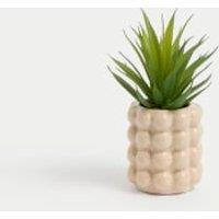 Artificial Mini Air Plant in Bobble Ceramic Pot