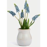 Artificial Hyacinth Plant in Ceramic Pot