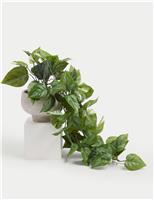 Artificial Trailing Pothos in Cement Pot