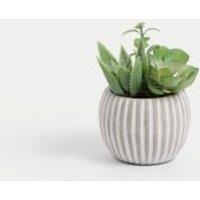 Artificial Succulents in Cement Pot