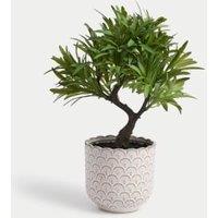 Artificial Bonsai Tree in Scallop Ceramic Pot