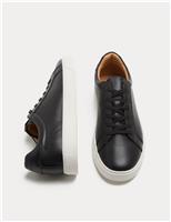 Autograph Leather Cupsole Lace up Trainers Black