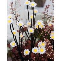 5pk LED Daisy Pathfinder Lights
