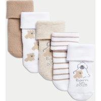 5pk Cotton Rich Terry Born in 2025 Baby Socks (0 - 3 Yrs)