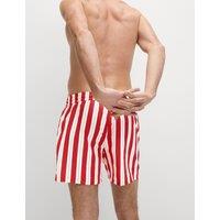 Quick Dry Deckchair Striped Swim Shorts