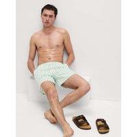 Quick Dry Deckchair Striped Swim Shorts
