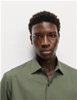 Regular Fit Pure Cotton Shirt