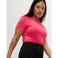 Scoop Neck Fitted T-Shirt