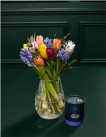Mother s Day Hyacinth & Tulip Posy with Truffle Chocolates