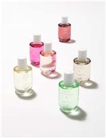 Minis Discovery Collection