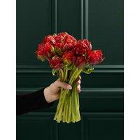 Rose & Speciality Tulip Bouquet