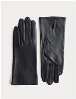 Leather Gloves