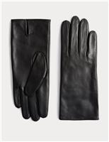 Leather Gloves